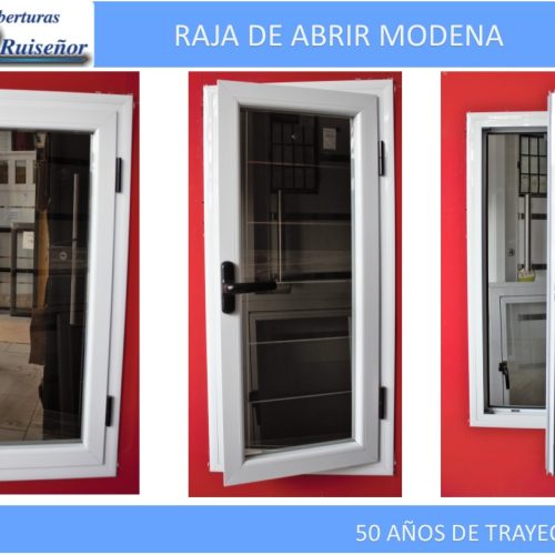 RAJA-MODENA1.jpg